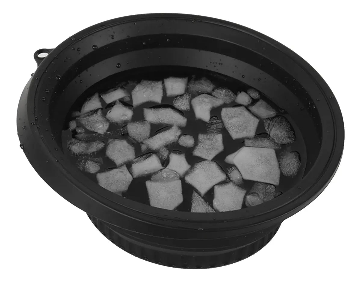 Molde Facial de Hielo para Skin Care