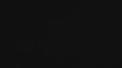 Estaca Flores Solares 70 Cm