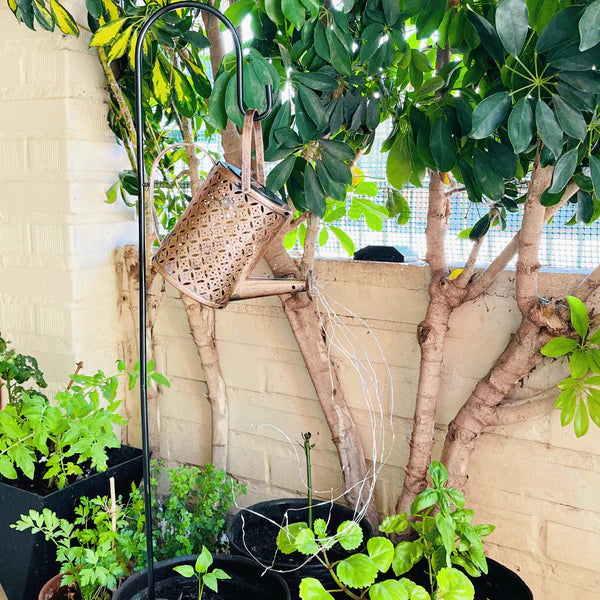 Estaca Regadera Solar